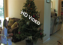 Click here To Watch Video